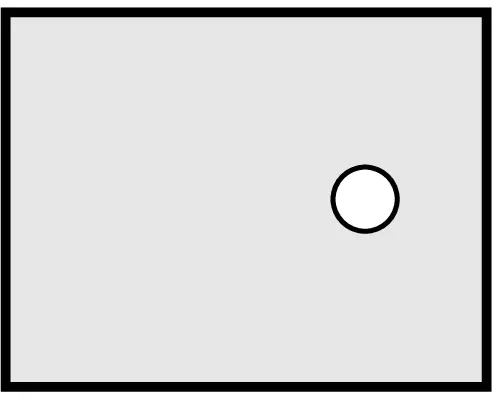 WS 247