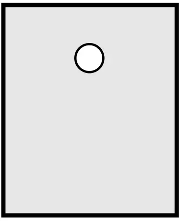 WS 3 P